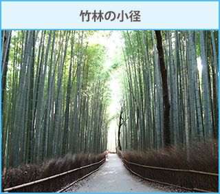 竹林の小径