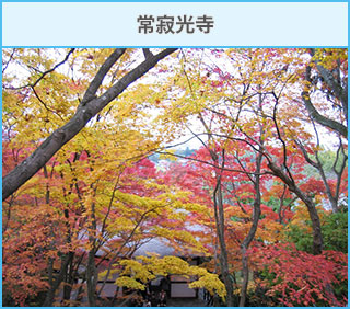 常寂光寺