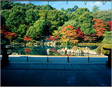 天龍寺の日本庭園